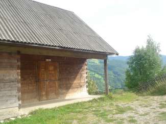 DSC09175.JPG